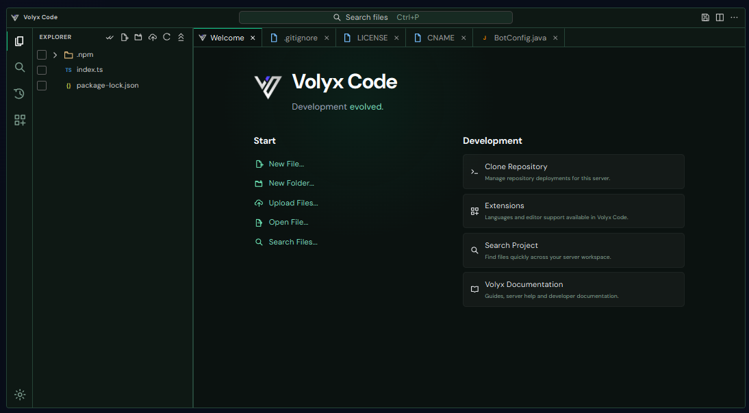 واجهة Volyx Code